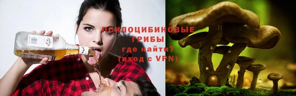 твердый Бронницы