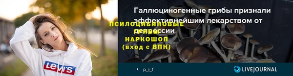 скорость Бородино
