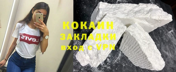 твердый Бронницы